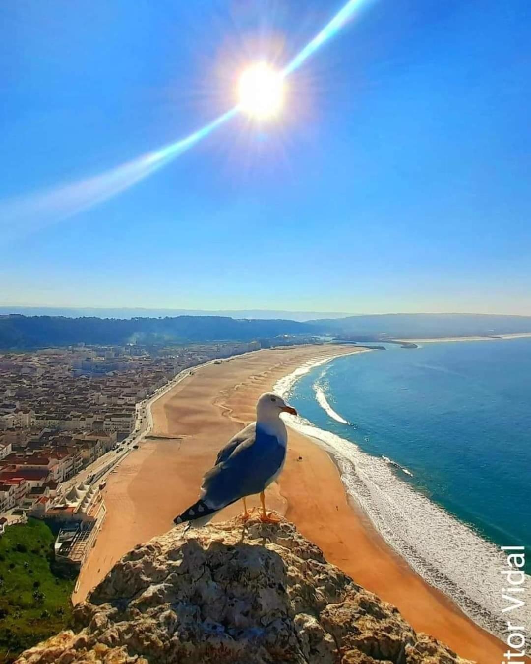 Maresia Villa Mar Nazaré Exteriör bild